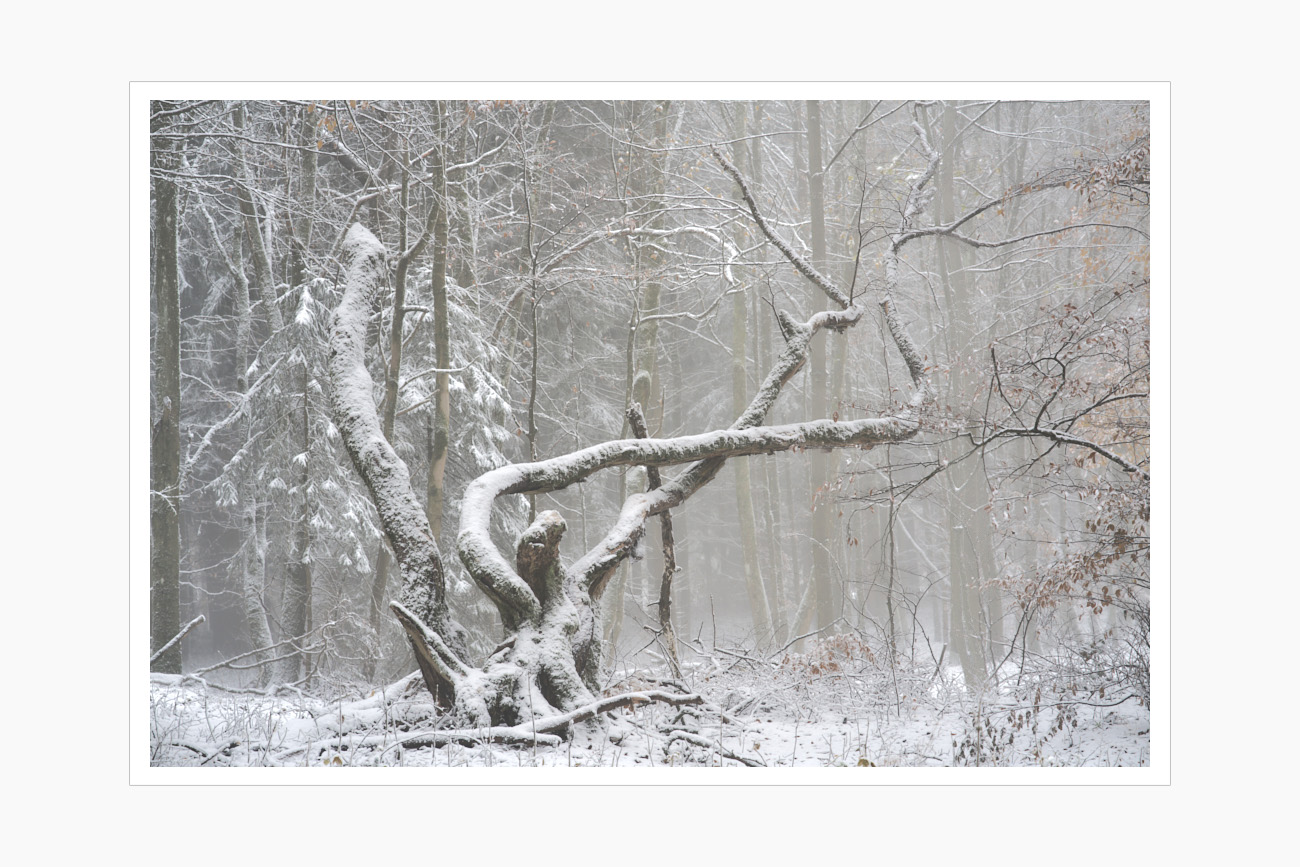 Max Schiefele Alle Bilder DSC01386